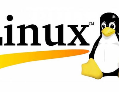 Linux Completo para Usuário Comum ou Desenvolvedor
